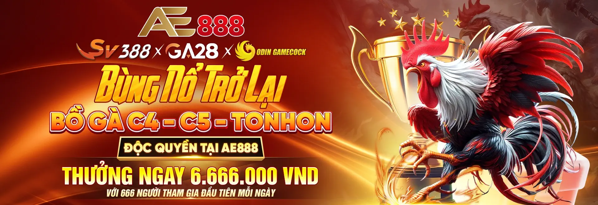 baner ae888