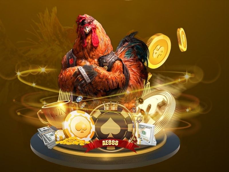 Sân Chơi Đá Gà Trực Tuyến An Toàn Hợp Pháp Đầu Tiên